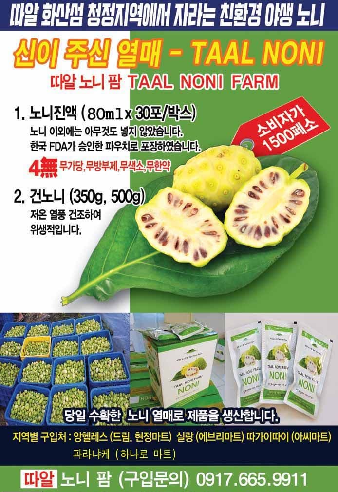 마닐라 기타 따알노니팜