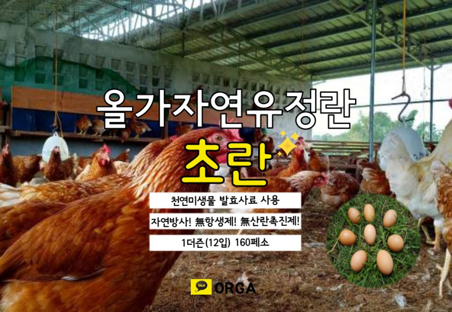 마닐라 기타 올가 orga 건강한 먹거리 주문받습니다