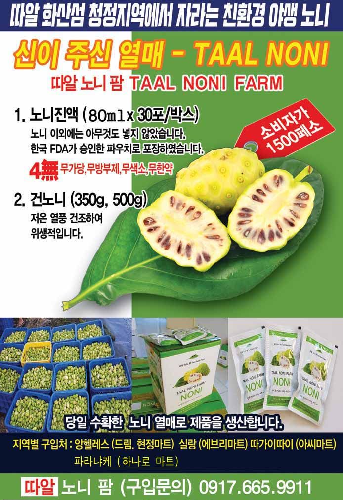 마닐라 기타 따알노니팜