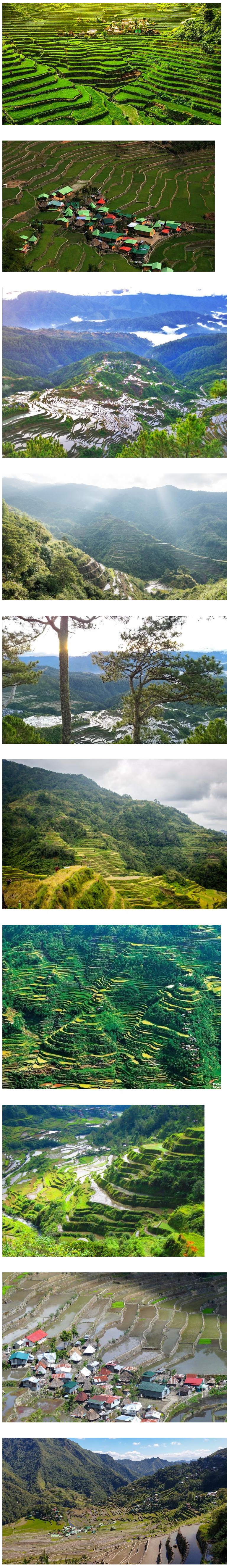 마닐라 기타 [필리핀] Banaue Rice Terraces