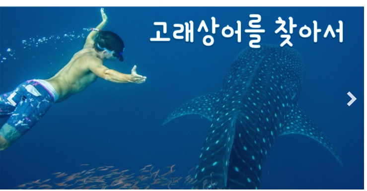 마닐라 기타 메트로퀵투어