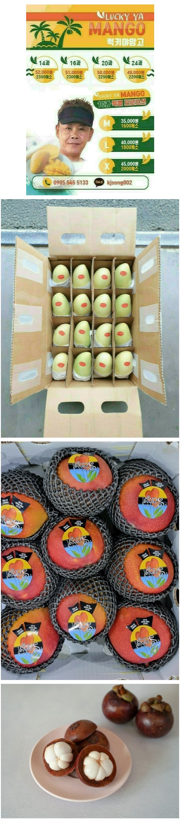 마닐라 럭키야망고 대표 이미지 마닐라 럭키야망고 대표 이미지