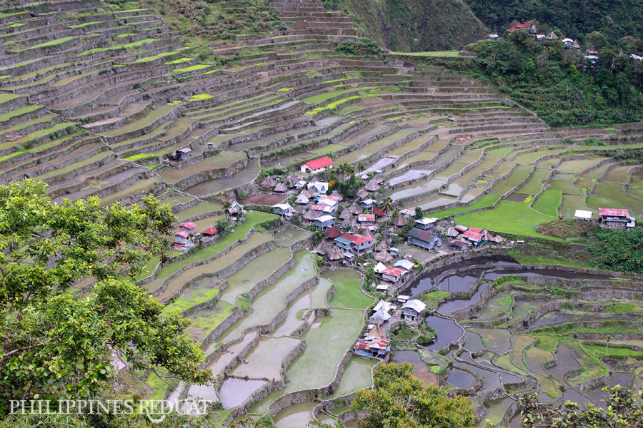 마닐라 거의 초현실적이다: 바나우에(Banaue)와 바타드(Batad) 계단식 논