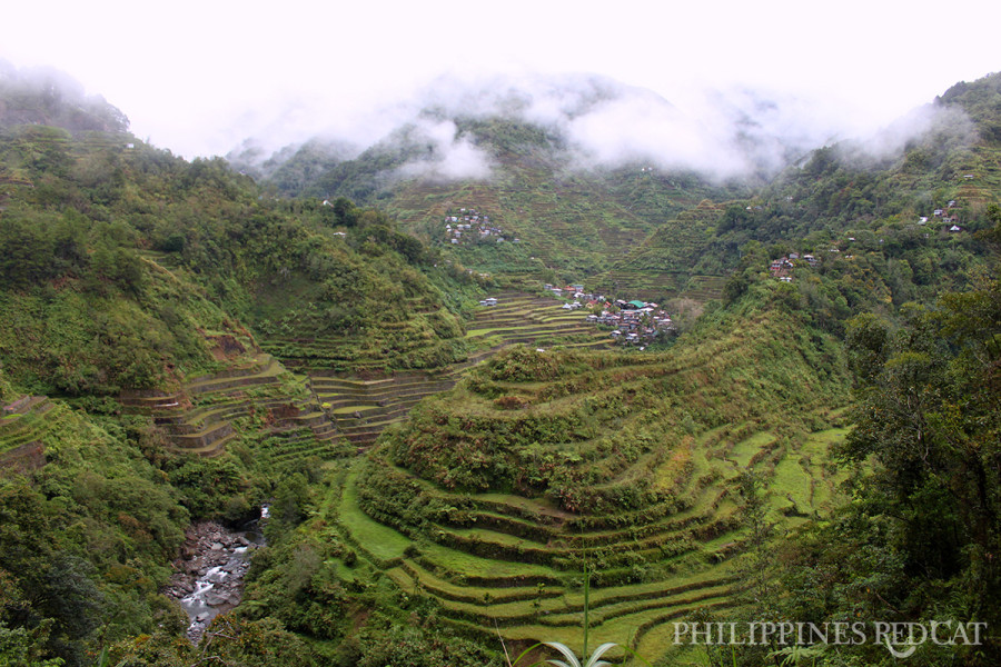 마닐라 거의 초현실적이다: 바나우에(Banaue)와 바타드(Batad) 계단식 논