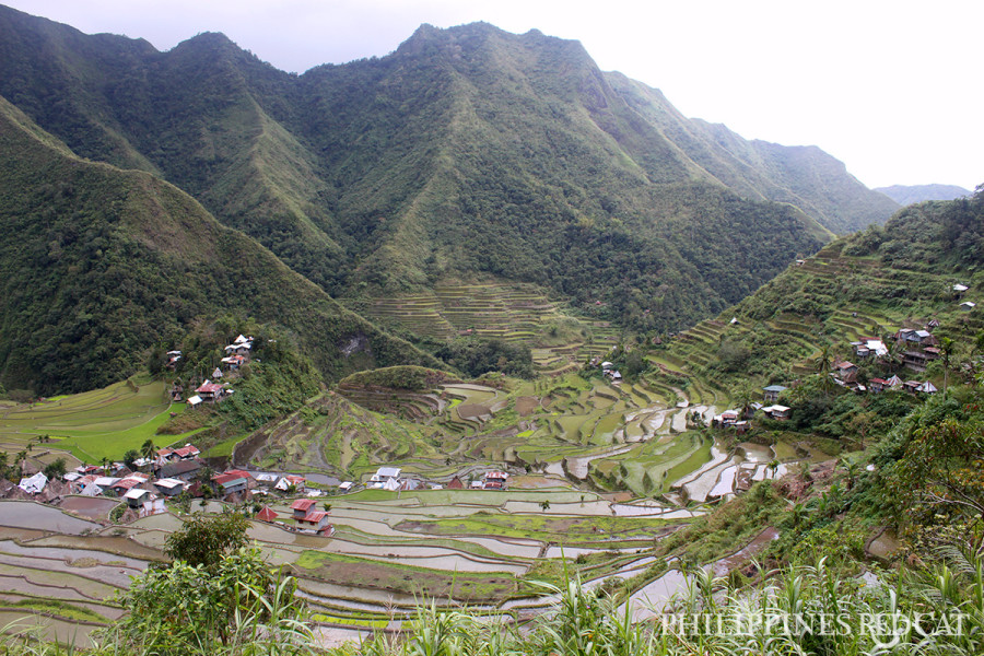 마닐라 거의 초현실적이다: 바나우에(Banaue)와 바타드(Batad) 계단식 논