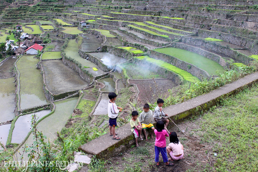 마닐라 거의 초현실적이다: 바나우에(Banaue)와 바타드(Batad) 계단식 논
