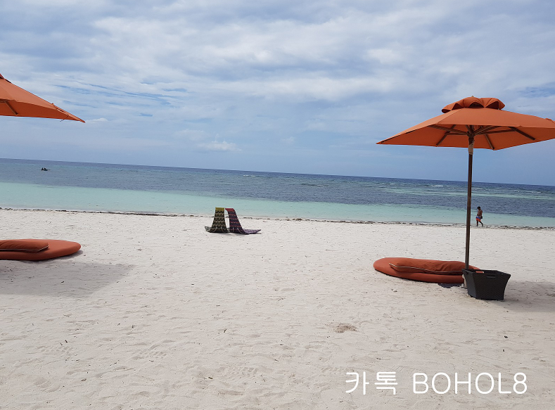 세부 보홀여행 데이투어 호핑투어 보홀사우스팜리조트가격