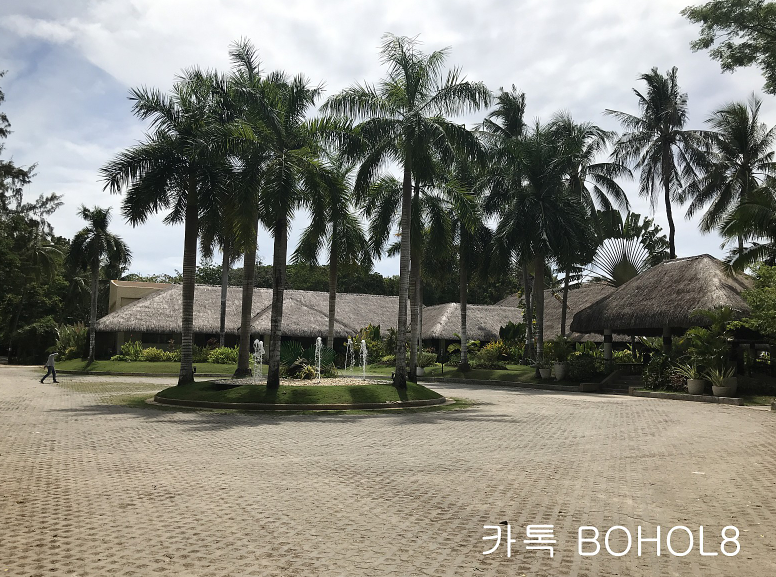 세부 보홀여행 데이투어 호핑투어 보홀사우스팜리조트가격