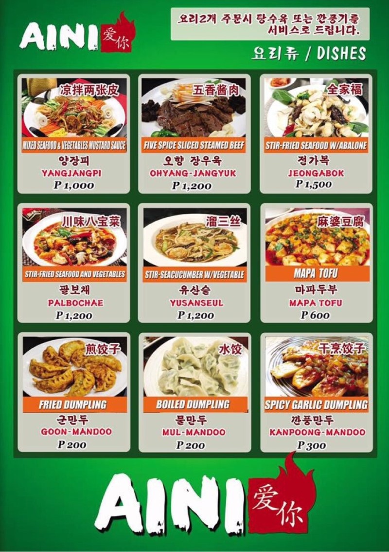 파사이 아이니
