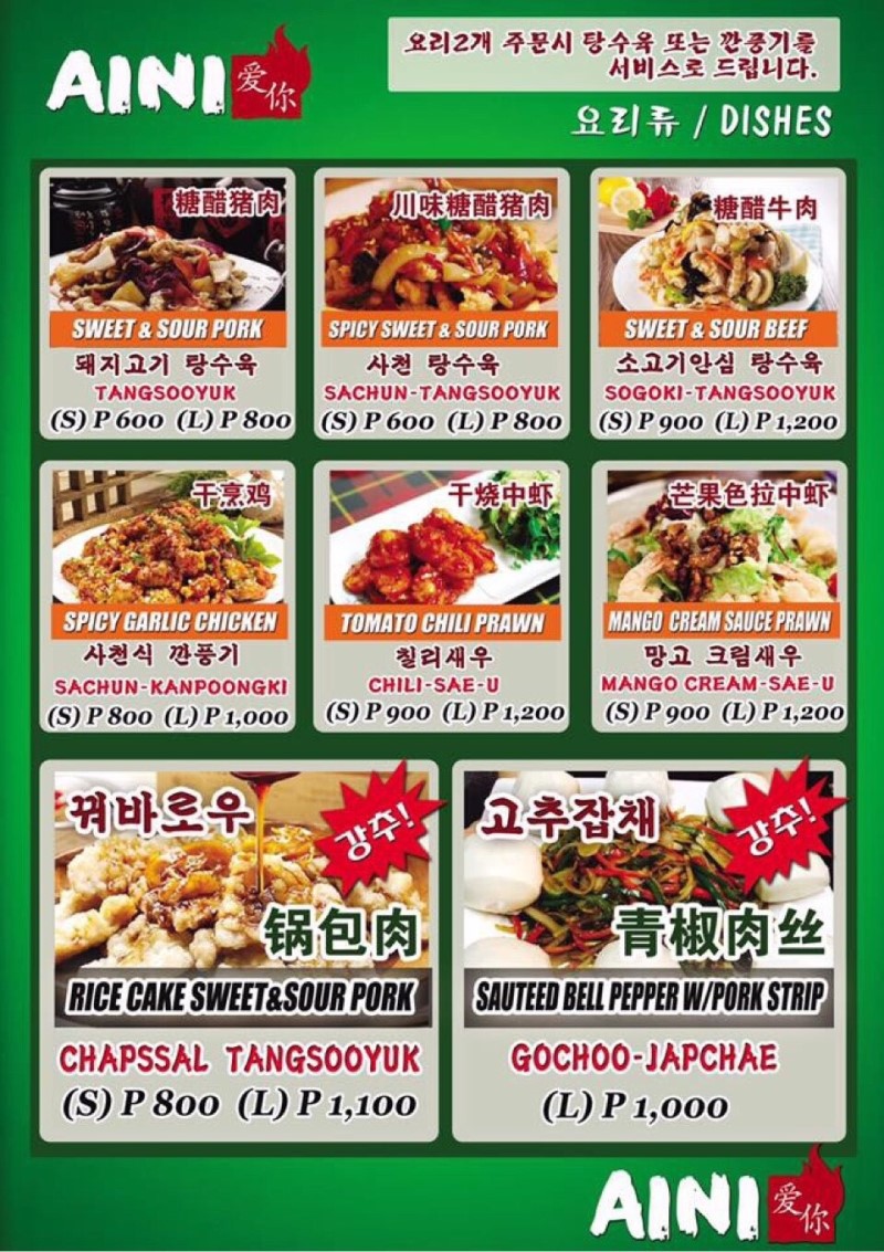 파사이 아이니